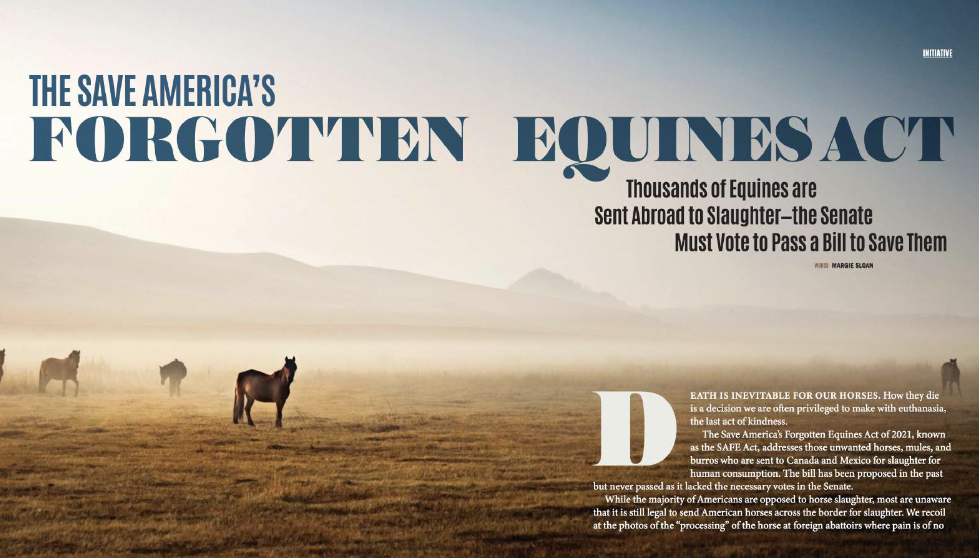 Save Americas Equines